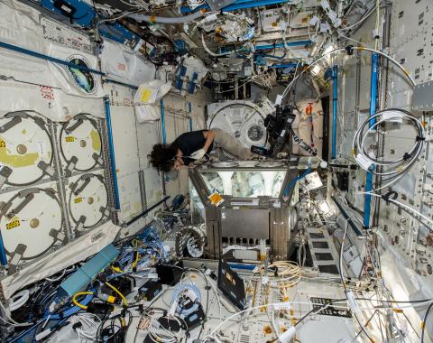 NASA astronaut Suni Williams working on stem cells in the International Space Station. Image is courtesy of NASA. 