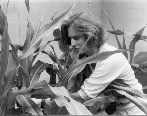 Nina Fedoroff working with maize