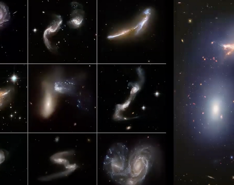 Galaxies interacting and merging to form a single galaxy