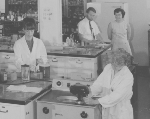 Black and white history resource tile