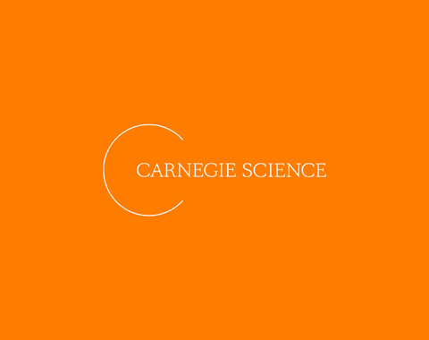 orange background logo