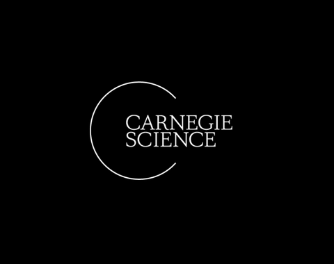 White logo on black background