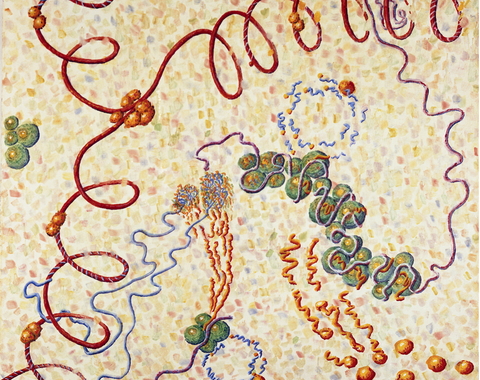 "Macromolecular Metabiology," used for frontispiece of CIW publication 624, "Studies of Macromolecular Biosynthesis"