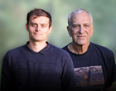 Rosa and Berry Banner