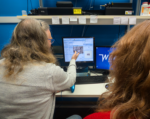 Steele points to a sample of Martian meteorite 