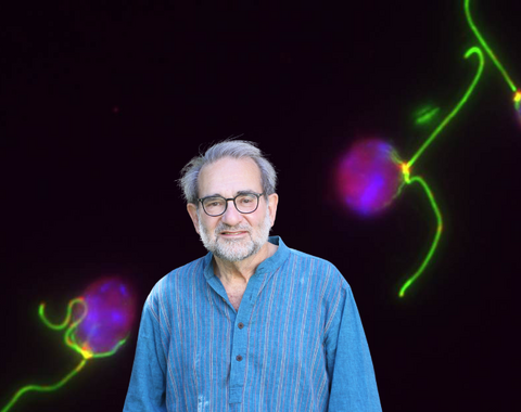 Arthur Grossman on a background of Chlamydomonas