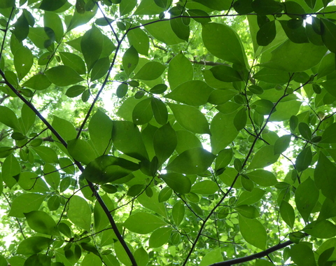 Photo by Karin Kim on Unsplash