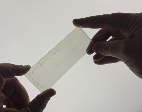 Lasby plate held over the lightbox