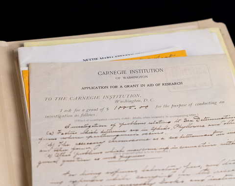 Nettie Stevens Grant in Folder