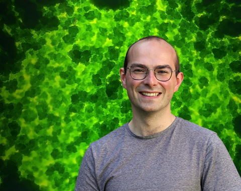Adrien Burlacot - Algae header image