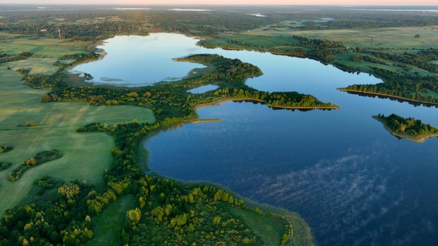 A lake stretches through a green area