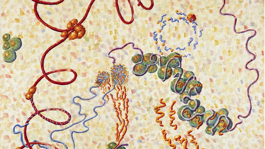 "Macromolecular Metabiology," used for frontispiece of CIW publication 624, "Studies of Macromolecular Biosynthesis"