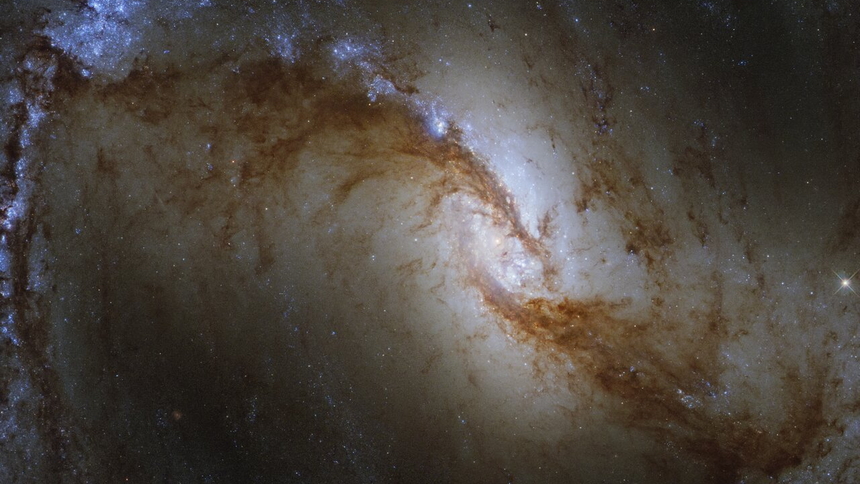 Hubble Space Telescope image of NGC 1365, or the Great Barred Spiral Galaxy. Credit: Credit: ESA/Hubble & NASA, J. Lee and the PHANGS-HST Team.
