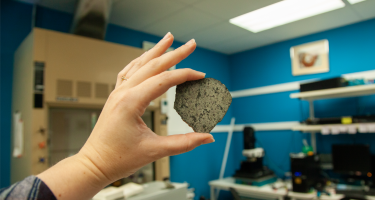 Katy Cain carefully holds Andrew Steele's sample (courtesy of David Blake) of the meteorite SAU 008. A sample of the same meteorite has now traveled back to Mars as a part of the calibration target for the SHERLOC spectrometer onboard the Perseverance rover. Image courtesy Carnegie Institution for Science/Katy Cain