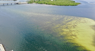 Aerial view of red tide algal bloom along Florida’s gulf coast