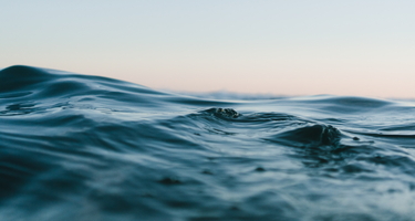 Water close-up courtesy of Unsplash