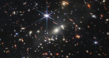 JWST Image of a foreground cluster gravitationally lensing background galaxies.