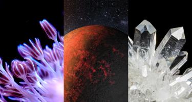 A triptych of Xenia, a planet, and quartz
