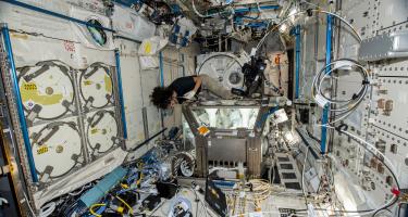 NASA astronaut Suni Williams working on stem cells in the International Space Station. Image is courtesy of NASA. 