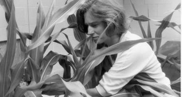 Nina Fedoroff working with maize