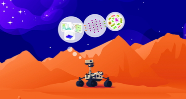 Mars rover things about life