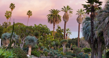 Entrance of The Huntington