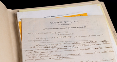 Nettie Stevens Grant in Folder