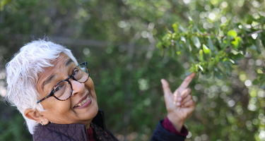 Devaki Bhaya on a Stanford University campus tree walk