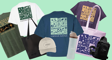 Carnegie Store Banner 