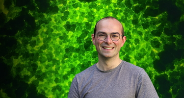 Adrien Burlacot - Algae header image