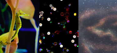 Holiday Card 2026 Banner