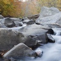 Rock Creek Park - Boulder in Creek - Fall Foliage - Photo  Katy Cain