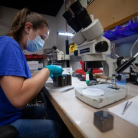 Kelsey Prissel Assembling Multi Anvil Cell
