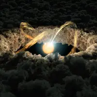 This illustration shows a star surrounded by a protoplanetary disk. Image credit: NASA/JPL-Caltech