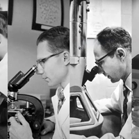 Joseph Gall at the microscope