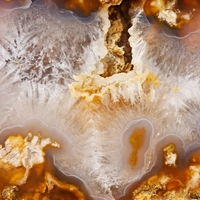 Agate interior. 