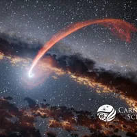 The tidal stripping of a star close to the central black hole of a galaxy (artist's rendition)