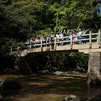 Postdocs on a Bridge
