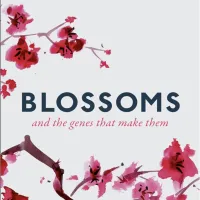 Blossoms and the Genes that Make Them Books Cover