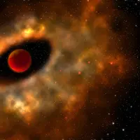 Artist’s conception of a disk of material surrounding a young star. Courtesy R Dienel/Carnegie Science