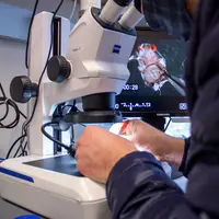 microscope fly gut ludington lab