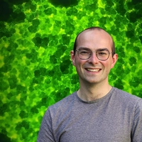 Adrien Burlacot - Algae header image