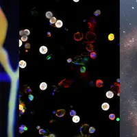 Holiday Card 2026 Banner