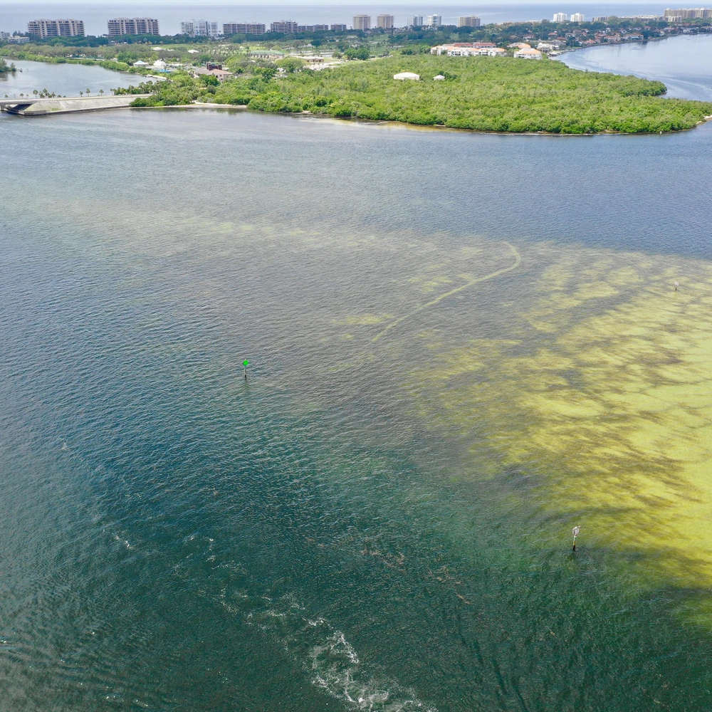 Nitrogen runoff strategies complicated by climate change | Carnegie Science