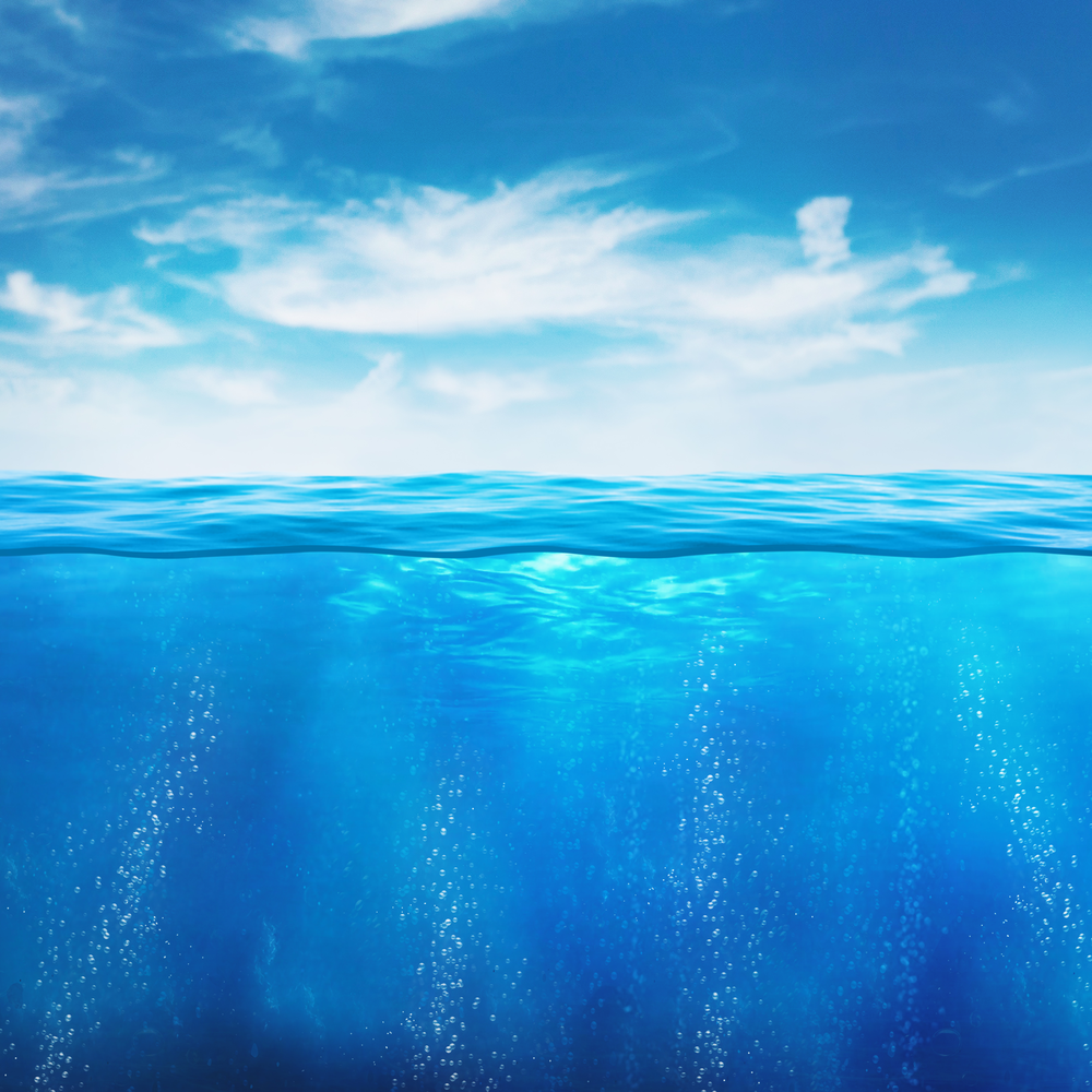 Exploring the ocean multiverse with Tara Oceans | Carnegie Science