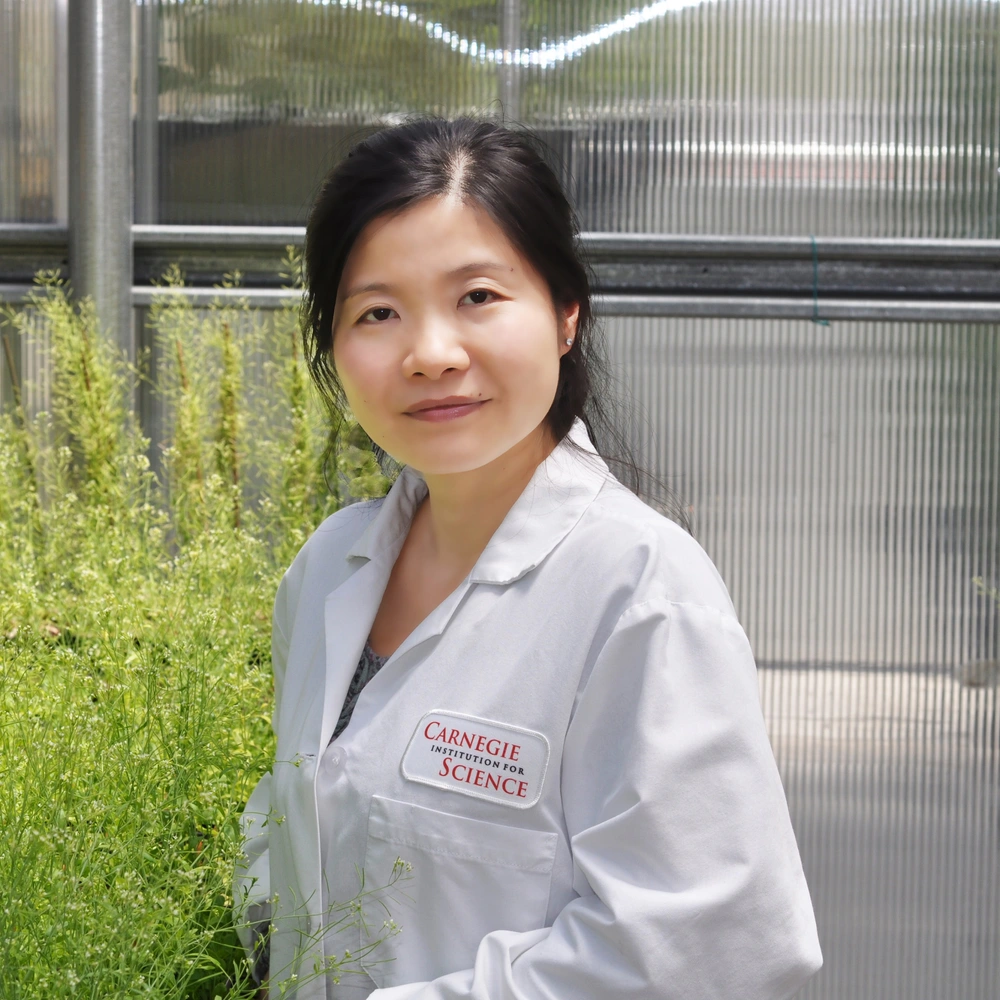 Plant Biology’s Jia-Ying Zhu Receives Postdoctoral Innovation and ...