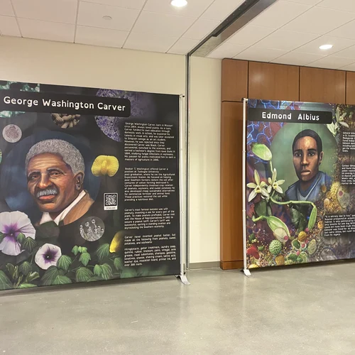 HBCU artwork honoring George Washington Carver and Edmond Albius in hallway