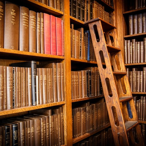 Library shelves with wooden ladder