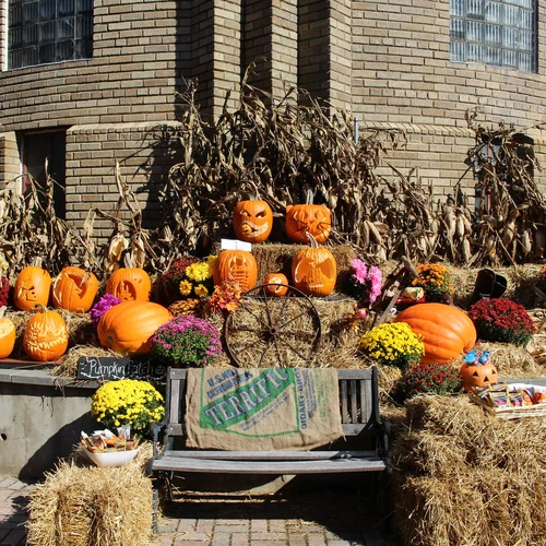 Fall Picnic Decor 2018