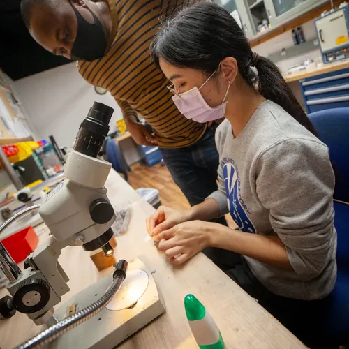 Jill Yang Helping Postdoc 